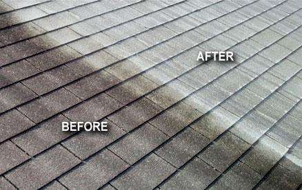 Roof Cleaning Before & After Roof Cleaning Before & After